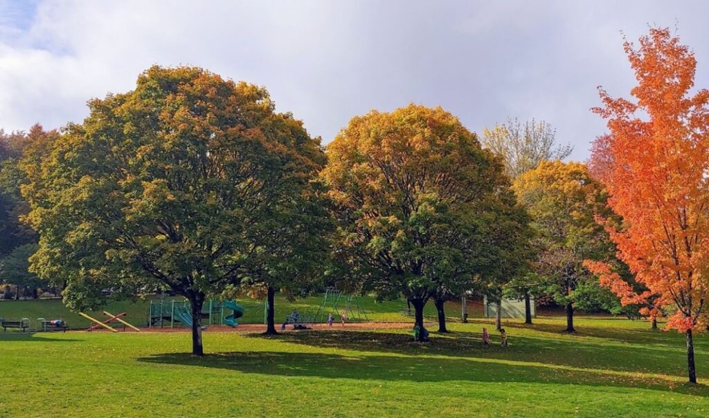 Photo of Pendleton Park